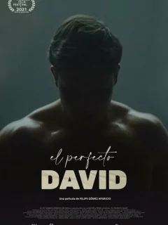 Идеальный Давид