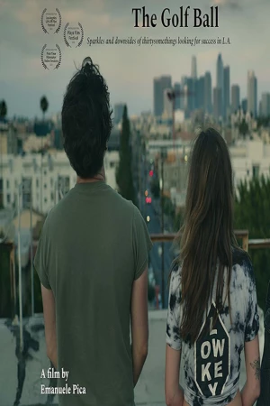 В погоне за мечтой