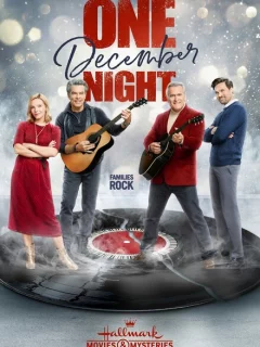 Одна декабрьская ночь 