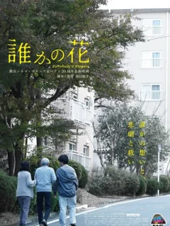 Чьи-то цветы