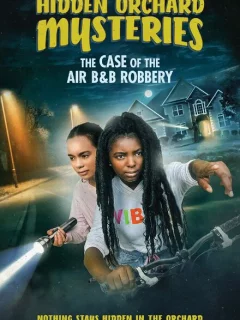 Тайны Хидден Орчеда. Ограбление Эйрбиэнби