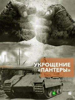 Укрощение «Пантеры»